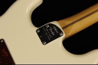 Fender American Professional II Stratocaster HSS - RW OWT