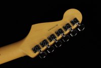 Fender American Professional II Stratocaster HSS - RW DKN