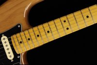 Fender American Professional II Stratocaster HSS - MN RPN