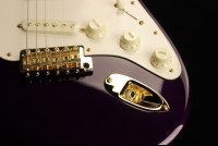 Fender Custom Limited Edition 1954 Stratocaster NOS - PLM