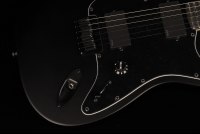 Fender Jim Root Stratocaster