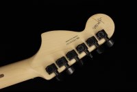 Fender Jim Root Stratocaster