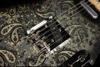 Fender Made in Japan Special Edition Telecaster Black Paisley