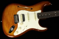 Fender Rarities Stratocaster Thinline HSS Solid Rosewood Neck