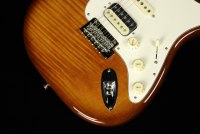 Fender Rarities Stratocaster Thinline HSS Solid Rosewood Neck