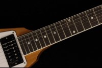 Gibson 70's Flying V - AN