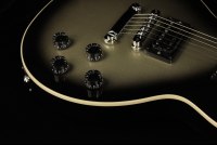 Gibson Adam Jones Les Paul Standard