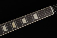 Gibson Firebird Platypus - EB