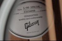 Gibson L-00 Special - VS