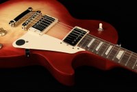 Gibson Les Paul Tribute - WS