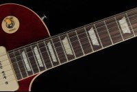 Gibson Warren Haynes Les Paul Standard