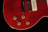 Gibson Warren Haynes Les Paul Standard