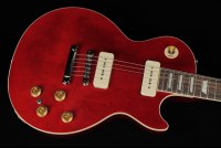 Gibson Warren Haynes Les Paul Standard