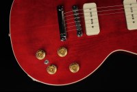 Gibson Warren Haynes Les Paul Standard