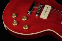 Gibson Warren Haynes Les Paul Standard