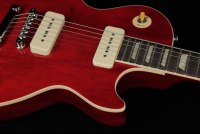 Gibson Warren Haynes Les Paul Standard