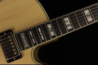 Ibanez PM200 Pat Metheny Signature