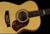 Maton EBG808TE