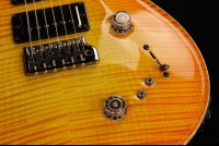 Paul Reed Smith Private Stock Special Semi-Hollow Limited Edition