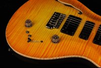 Paul Reed Smith Private Stock Special Semi-Hollow Limited Edition