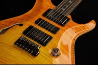 Paul Reed Smith Private Stock Special Semi-Hollow Limited Edition