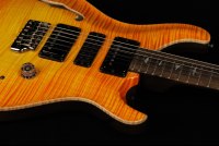 Paul Reed Smith Private Stock Special Semi-Hollow Limited Edition