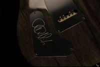 Paul Reed Smith Private Stock Special Semi-Hollow Limited Edition