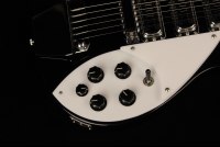 Rickenbacker 325C64 - JG