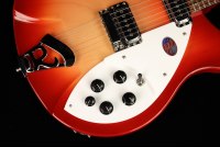 Rickenbacker 330 - FG