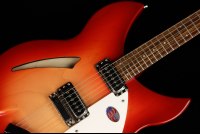 Rickenbacker 330 - FG