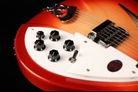 Rickenbacker 330 - FG