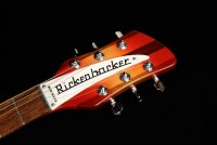 Rickenbacker 330 - FG