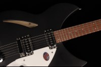 Rickenbacker 330 - MBL