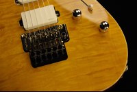 Suhr Standard Legacy FR - TC