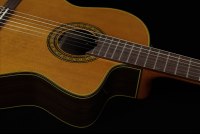 Takamine TC132SC