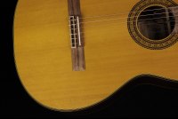 Takamine TC132SC