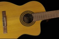 Takamine TC132SC