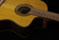 Takamine TC132SC