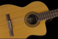 Takamine TC132SC