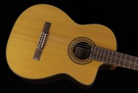 Takamine TC132SC