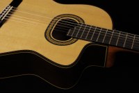 Takamine TH90 Hirade