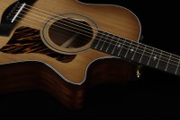 Taylor 50th Anniversary 312ce