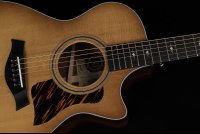 Taylor 50th Anniversary 312ce