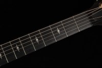 Taylor 50th Anniversary 312ce