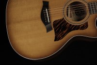 Taylor 50th Anniversary 314ce