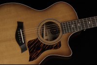 Taylor 50th Anniversary 314ce