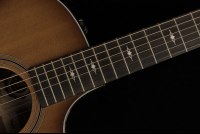 Taylor 50th Anniversary 314ce