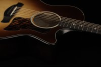 Taylor 50th Anniversary Builder's Edition 314ce - KB