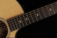 Taylor 50th Anniversary Builder's Edition 314ce - NA