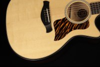 Taylor 50th Anniversary Builder's Edition 314ce - NA